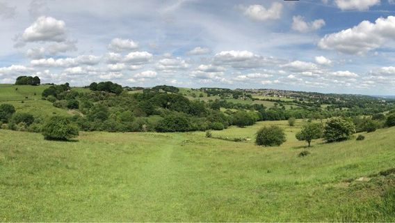 Mayfield Animal Park