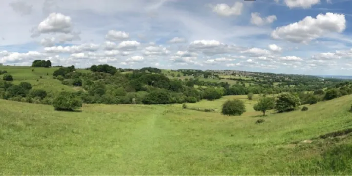 梅菲爾德羊駝館