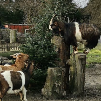Solingen Bird and Animal Park