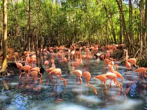 Aviario Nacional de Colombia