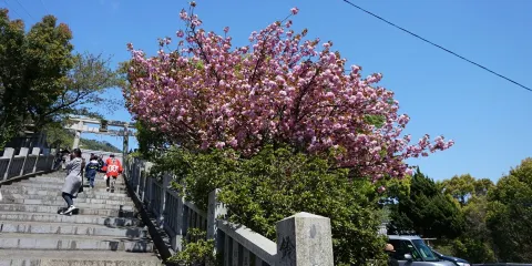 高屋神社