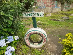 Rimbi Orange Garden