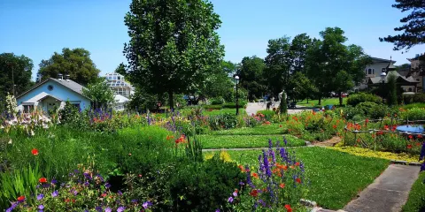 Chinese Scholar's Garden
