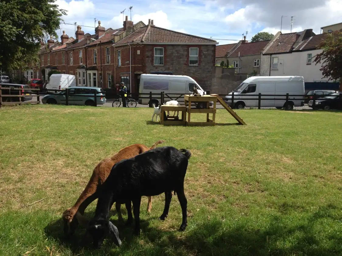 Hotels near St Werburghs City Farm