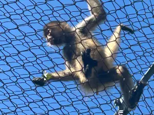 Connecticut's Beardsley Zoo