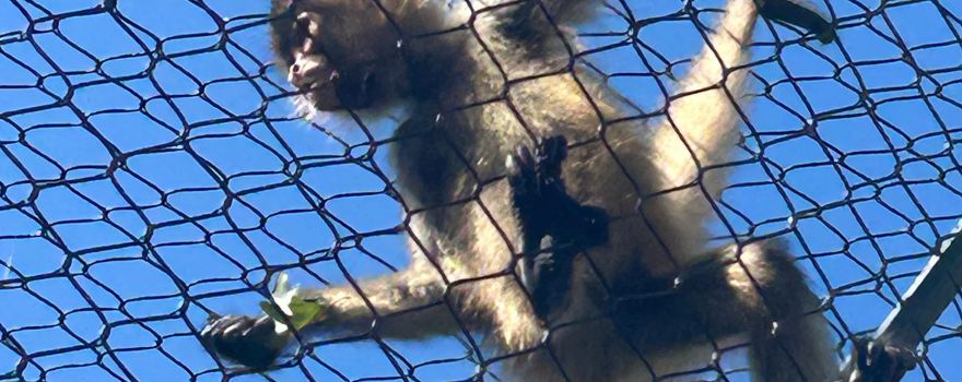 Connecticut's Beardsley Zoo