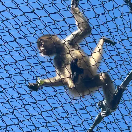 Connecticut's Beardsley Zoo