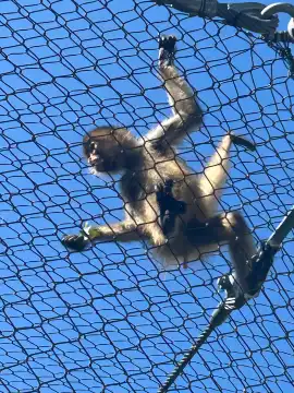 Connecticut's Beardsley Zoo