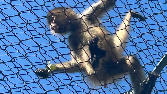 Connecticut's Beardsley Zoo