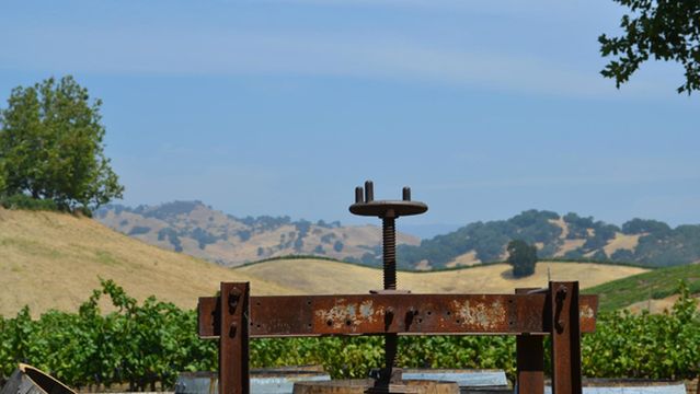 Vezér Family Vineyard - Blue Victorian