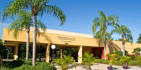 Alliance for the Arts