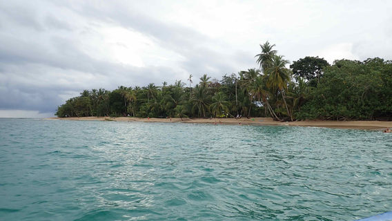 Punta Uva Dive Center