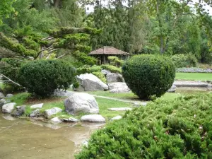 Polson Park