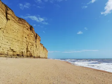 Hive Beach