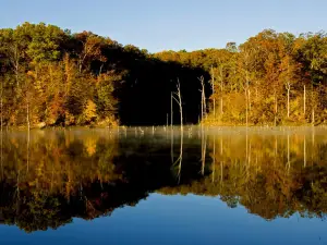 Village Creek State Park