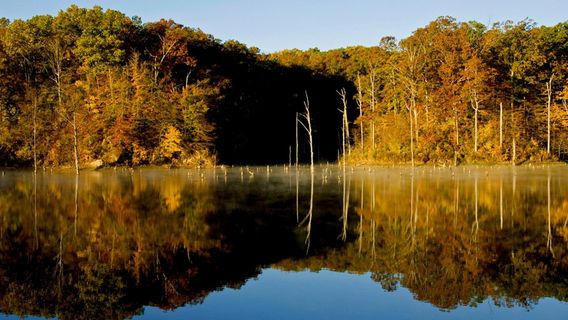 Village Creek State Park