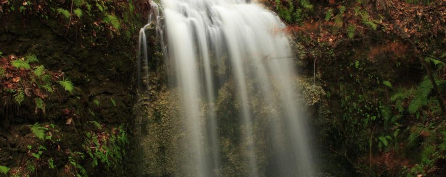 Falling Waters State Park Campground