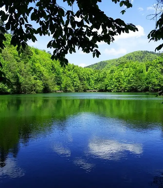 Bolu