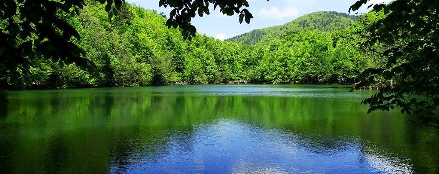 Bolu