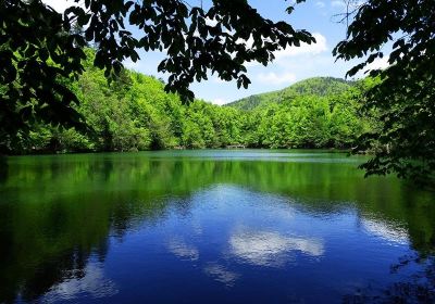 Bolu