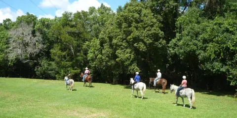Brooloo Park Eco Retreat & Equine Resort
