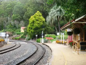 Spring Bluff Train Station
