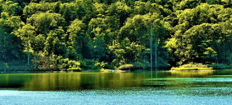 当別町のホテル