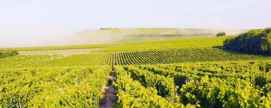 Pouilly-sur-Loire