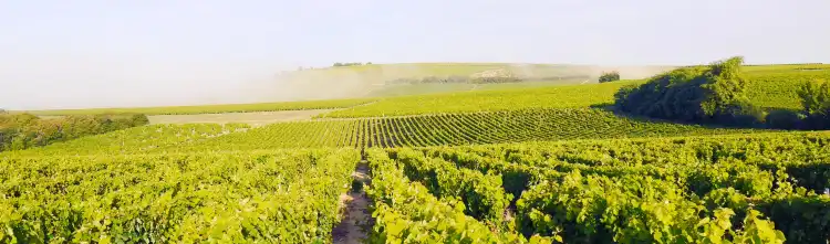 Hotels in Pouilly-sur-Loire