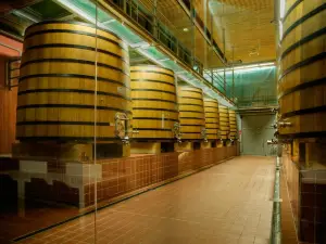Pago de Carraovejas - Finca y Bodega
