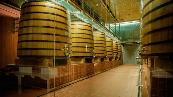 1_Pago de Carraovejas - Finca y Bodega