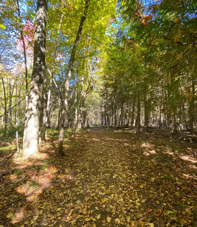 North Dundas