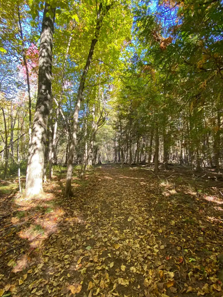 Hotels in North Dundas