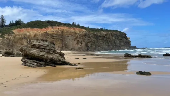 Redhead Beach