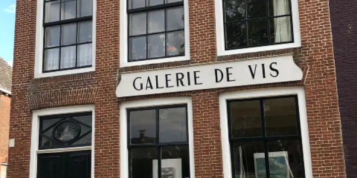 Galerie de Vis