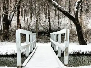 Tawawa Park