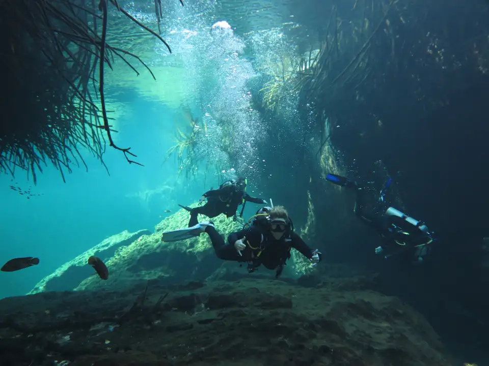 1_Infinity 2 Diving