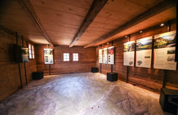 Castle de Vaas, Maison des Cornalins