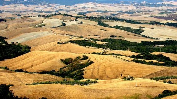 Santuario della Pietrina