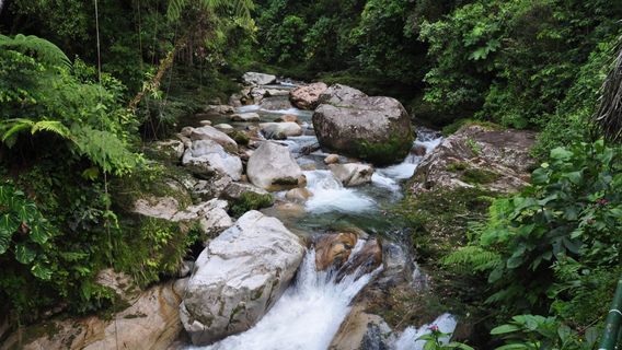 Laguna Azul