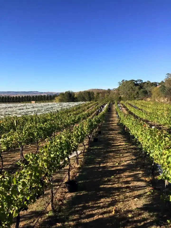 Hotel di Lancefield