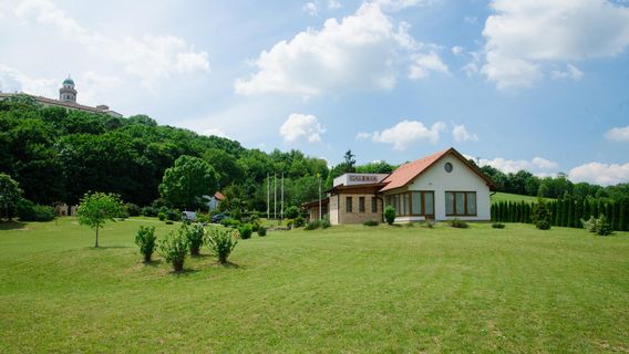 Hefter Glass Gallery & Studio