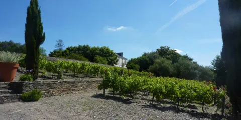 Le Jardin Méditerranéen