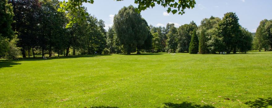 Luitpold Park