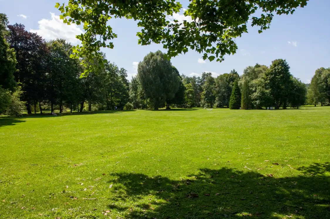 Hotels near Luitpold Park