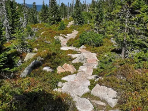 Top 10 Spring Outings in Lower Silesian