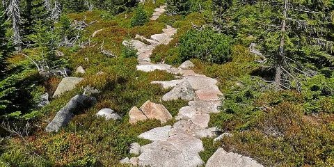 克爾科諾謝國家公園