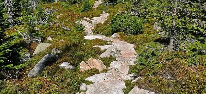 耶萊尼亞古拉酒店