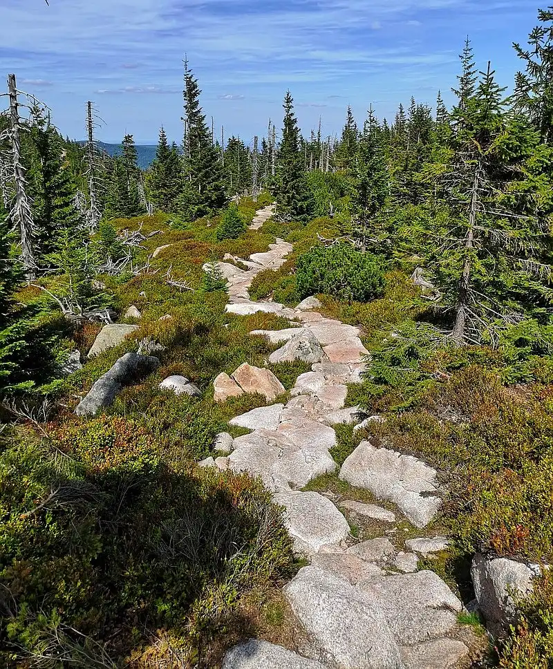 Hotels near Karkonosze National Park