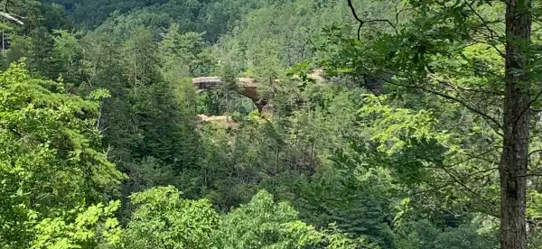 Hotels in Wolfe County
